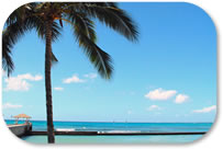 Book Vacations Online!